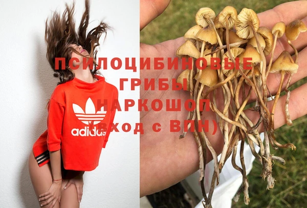 СК Баксан
