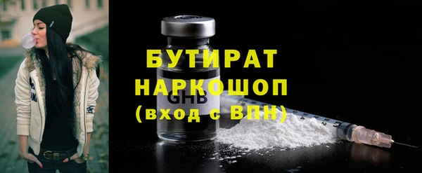 МДПВ Пересвет