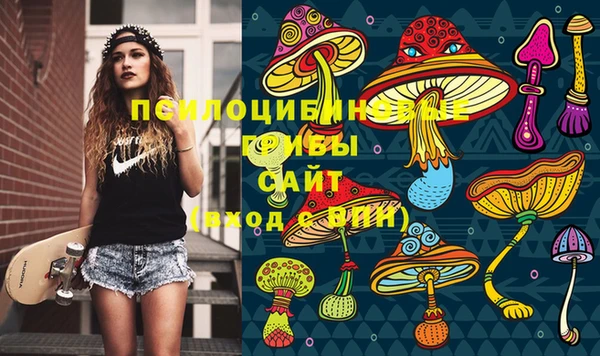 МДПВ Пересвет